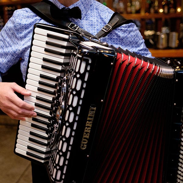 Accordion close-up detail shot